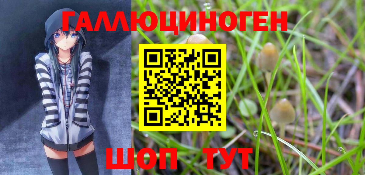 Псилоцибиновые грибы MAGIC MUSHROOMS  Вход с VPN  Галлюциногенные грибы Psilocybe  Верхняя Салда 